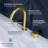 Widespread 2-handle Bathroom Faucet