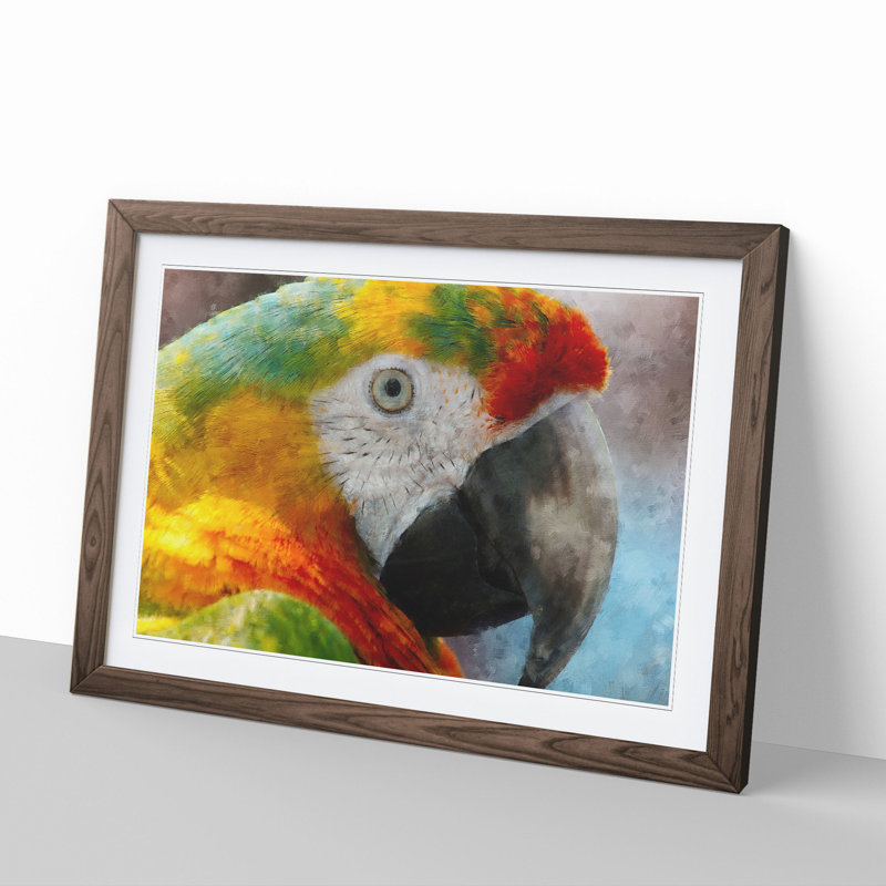 A Macaw Parrot - Picture Frame Graphic Art, 27cm H x 36cm W x 2cm D, Walnut Framed