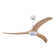 Cesar Ceiling Fan with LED Light, Remote Control & Reversible Motor