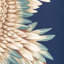 Kravet Design - W4207-816-45378538