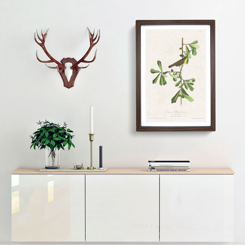 Roscoes Yellow-Throat Bird by John James Audubon - Picture Frame Graphic Art Print, 50cm H x 35cm W x 2cm D, Walnut