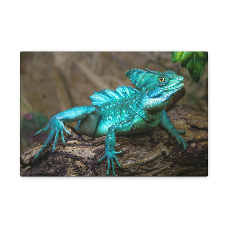 No Frame Print on Canvas, 30.48cm H x 40.64cm W