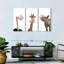 Ensemble de 3 animaux rigolos sur toile-5978625