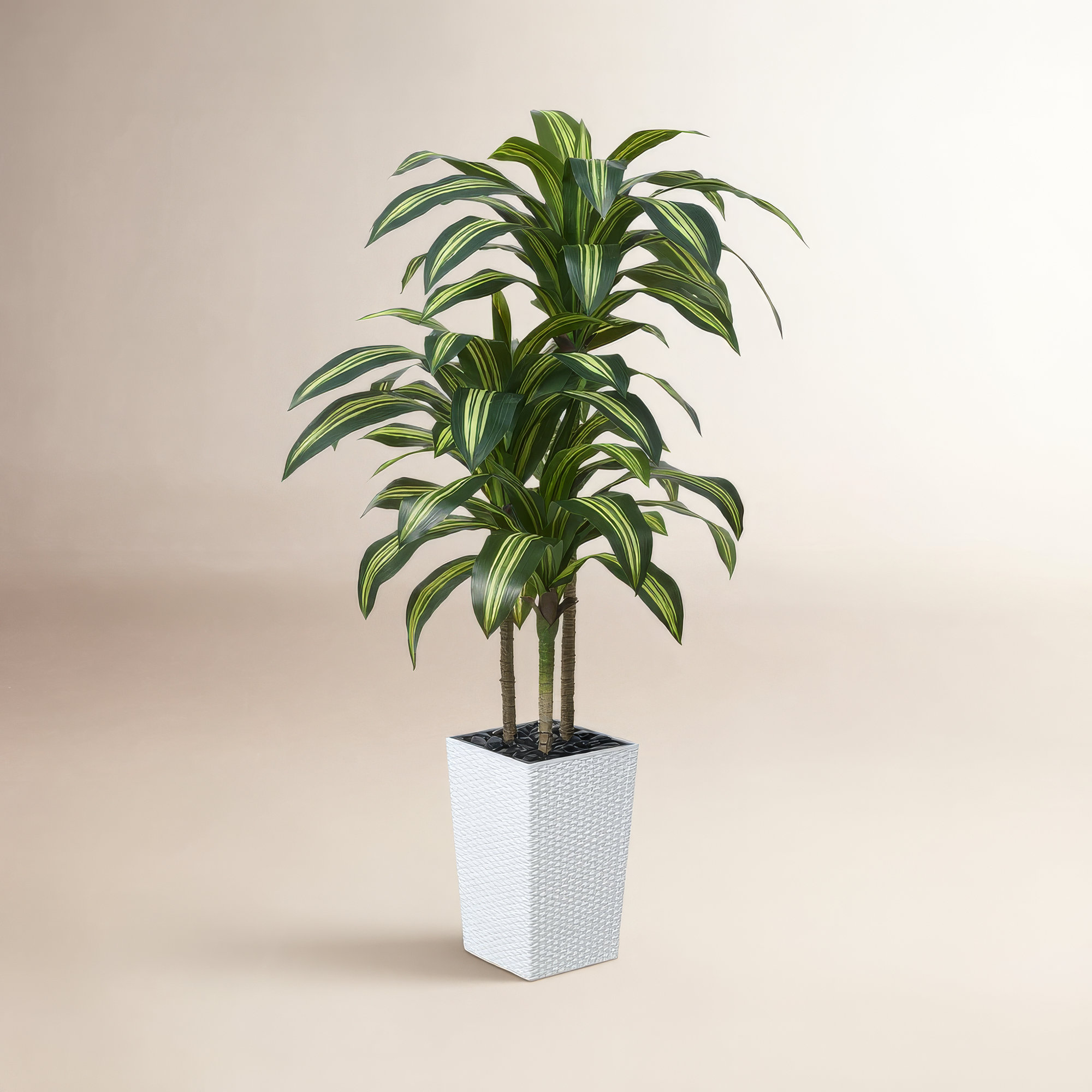Almina UV Resistant Artificial Yellow Dracaena Tree, Faux Tree with Large Base for Indoor Outdoor, White