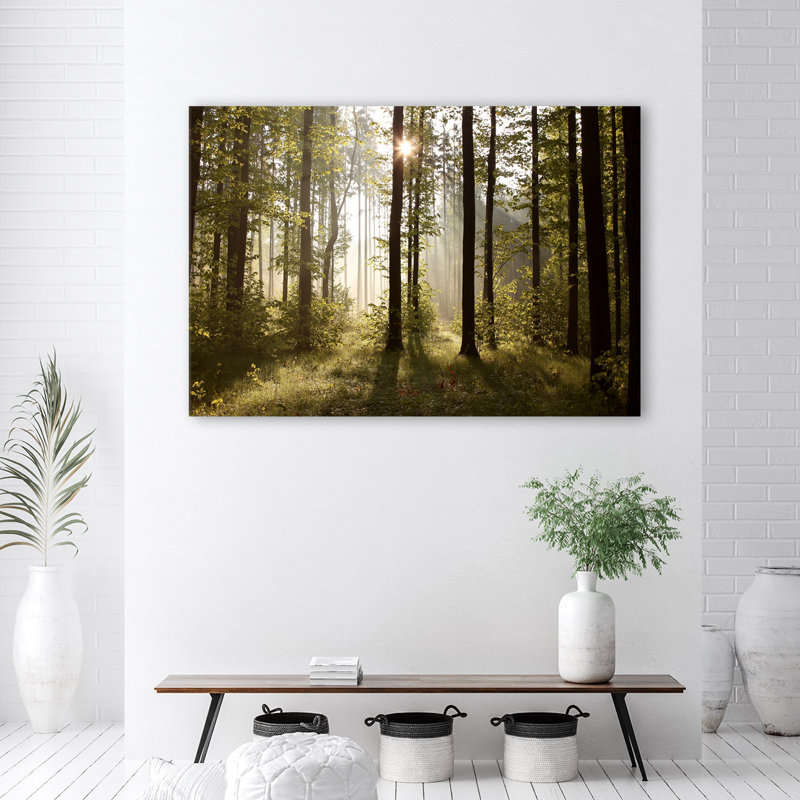 Morning In The Forest - No Frame Print on Canvas