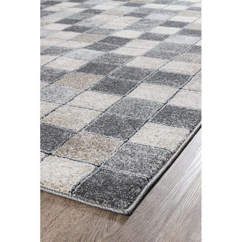 Lasedrick Chequered Area Rug, Rectangle 160 x 230cm