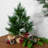 Whitecap Pine Artificial Mini Christmas Tree - 14" - Unlit