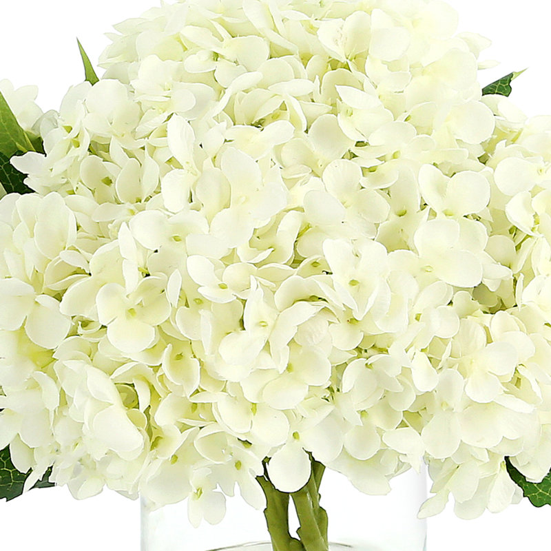Hydrangeas in Glass Bubble Vase, White