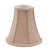 Graine de lin