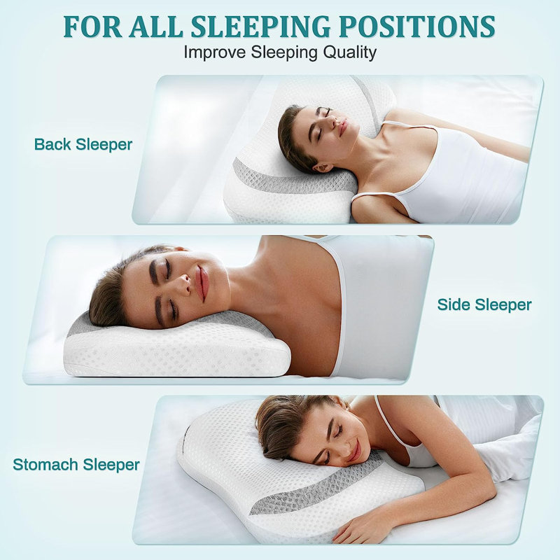 Rentiesville Memory Foam Medium Pillow