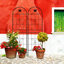 Paquet de 2 treillis de jardin en métal 71 po x 19,7 po antirouille pour plantes grimpantes