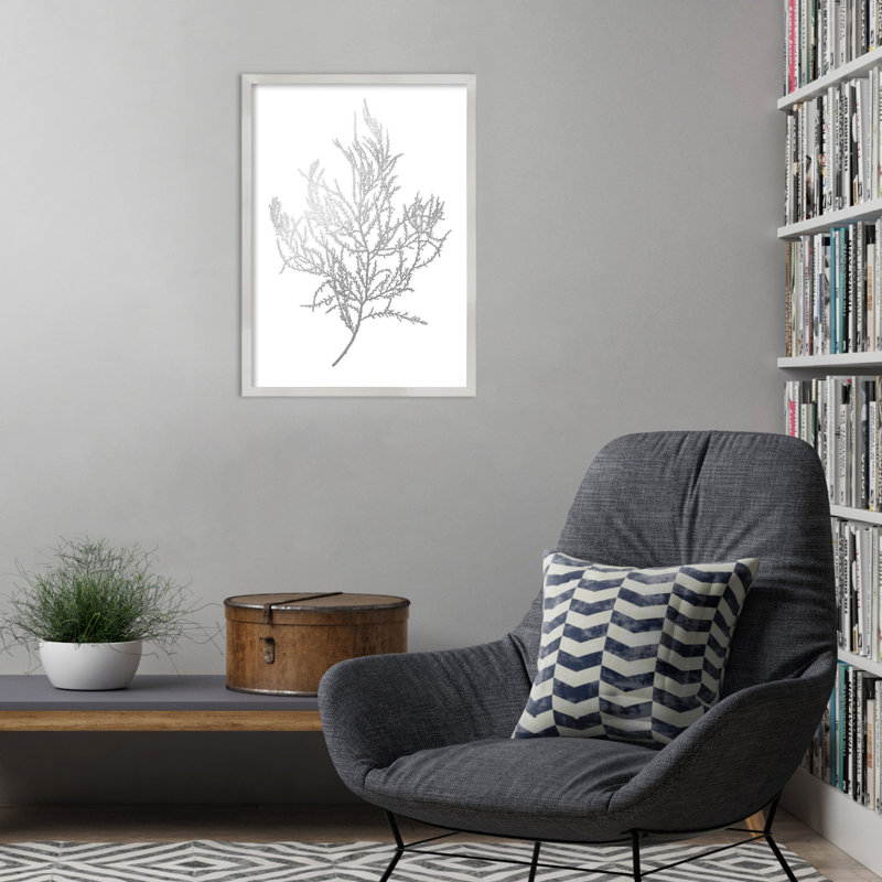 «Gray Algae III» par Jennifer Goldberger, reproduction d'art encadrée sur bois, H 25 po x l 19 po