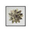 Gold Succulent C Print