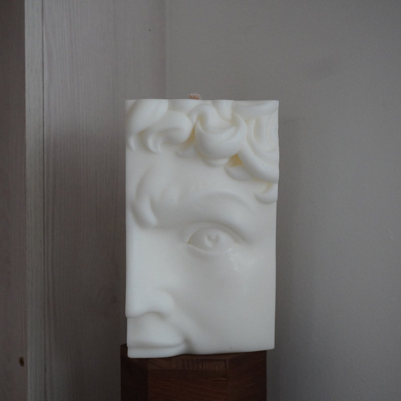 Lemongrass & Eucalyptus Scented Novelty Candle