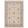 Atherine Oriental Indoor Rug