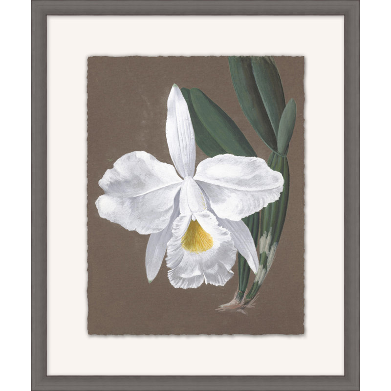 Orchid Study 9 Painting