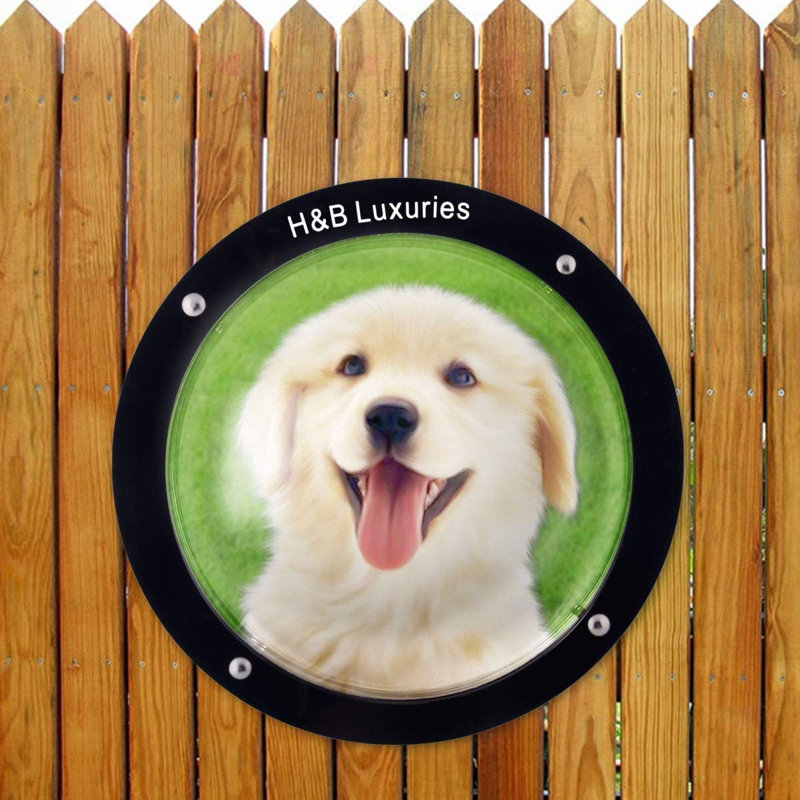 Porte-fenêtre Climes Dome Dog