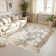 Monaco Series Abrstract Black/Gray/Ivory/Beige Area Rug
