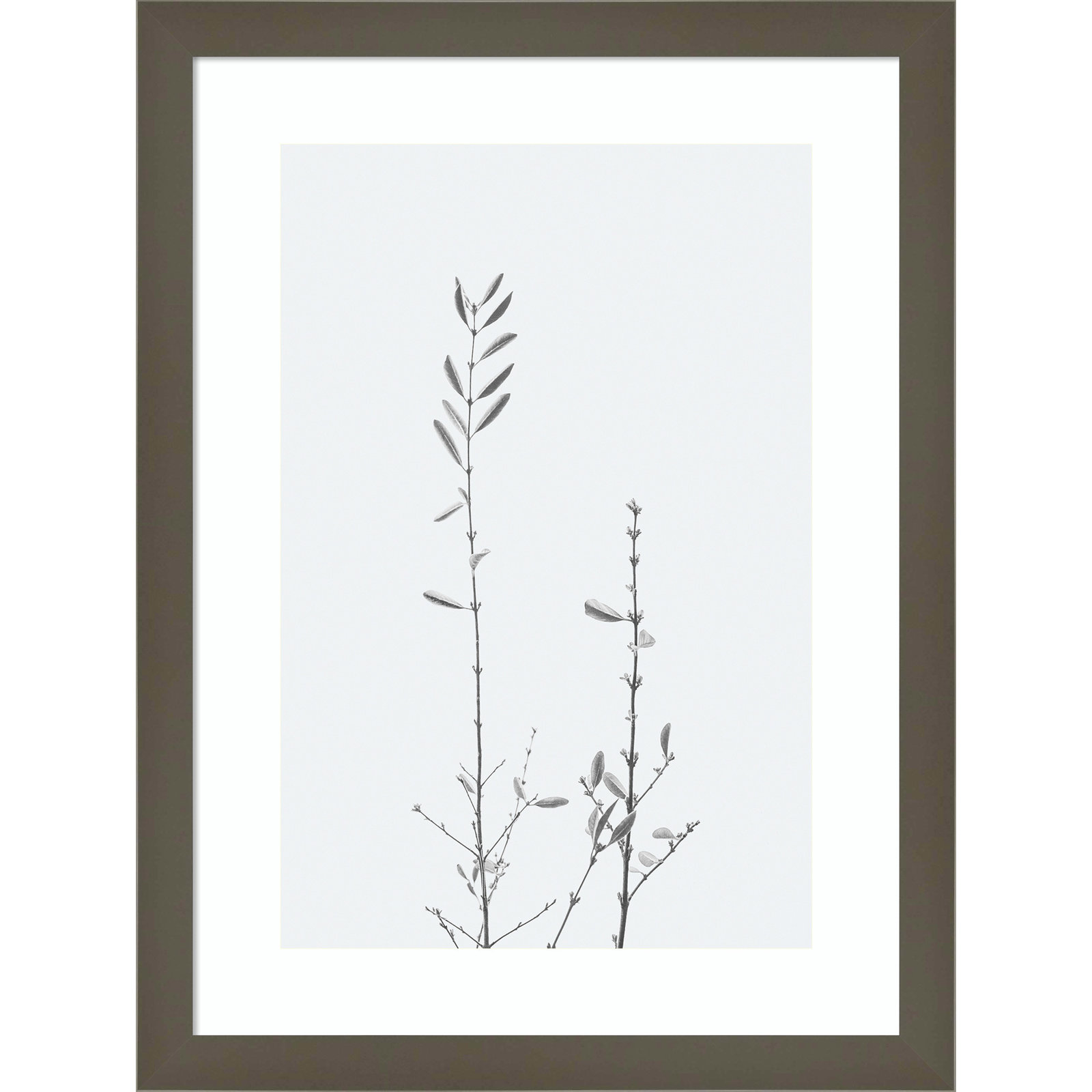 Retro Tennessee Botanical No 2 Photo Print, 17" H x 13" W x 1" D, Gray