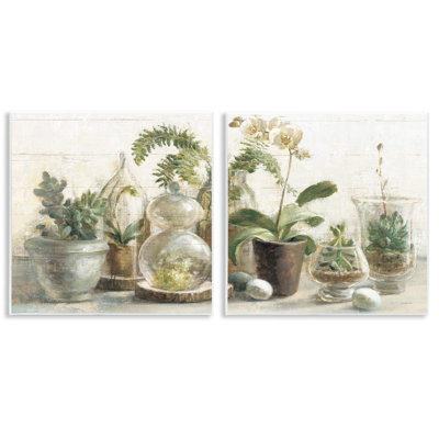 «Succulent House Plants Country Charm Green Brown» par Danhui Nai, ensemble de 2 reproductions d'impressions