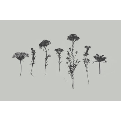 Wildflower Memory II