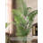 Simple And Realistic Scortech Palm Tree - Multi-Scenario Home Display Plant