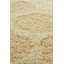 Washable Area Rug Sweet Honey