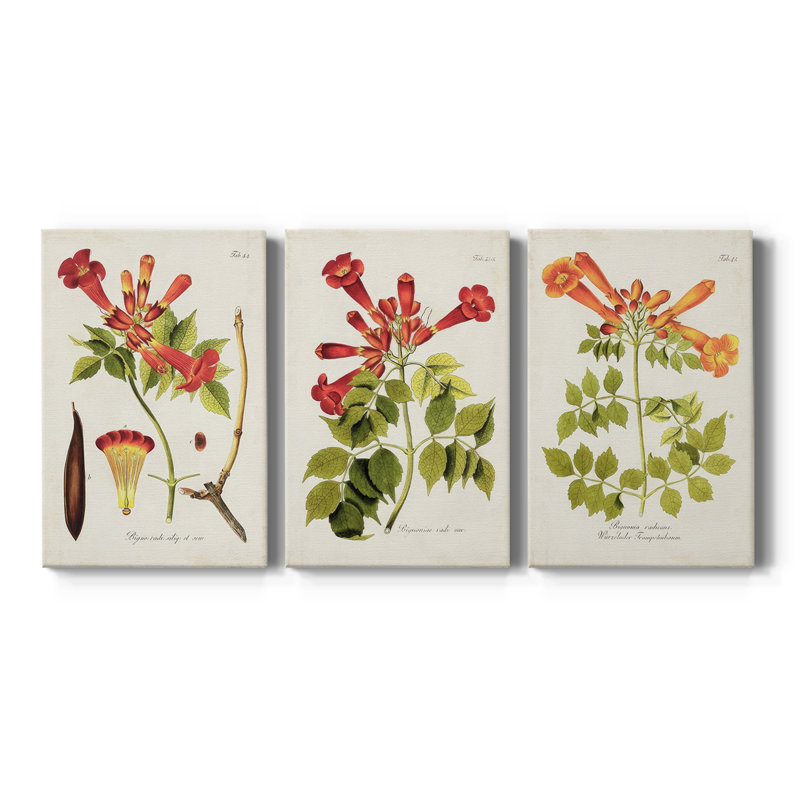 Tropical Trumpet Flowers I - Toile tendue avec châssis sur mesure - 3 pièces