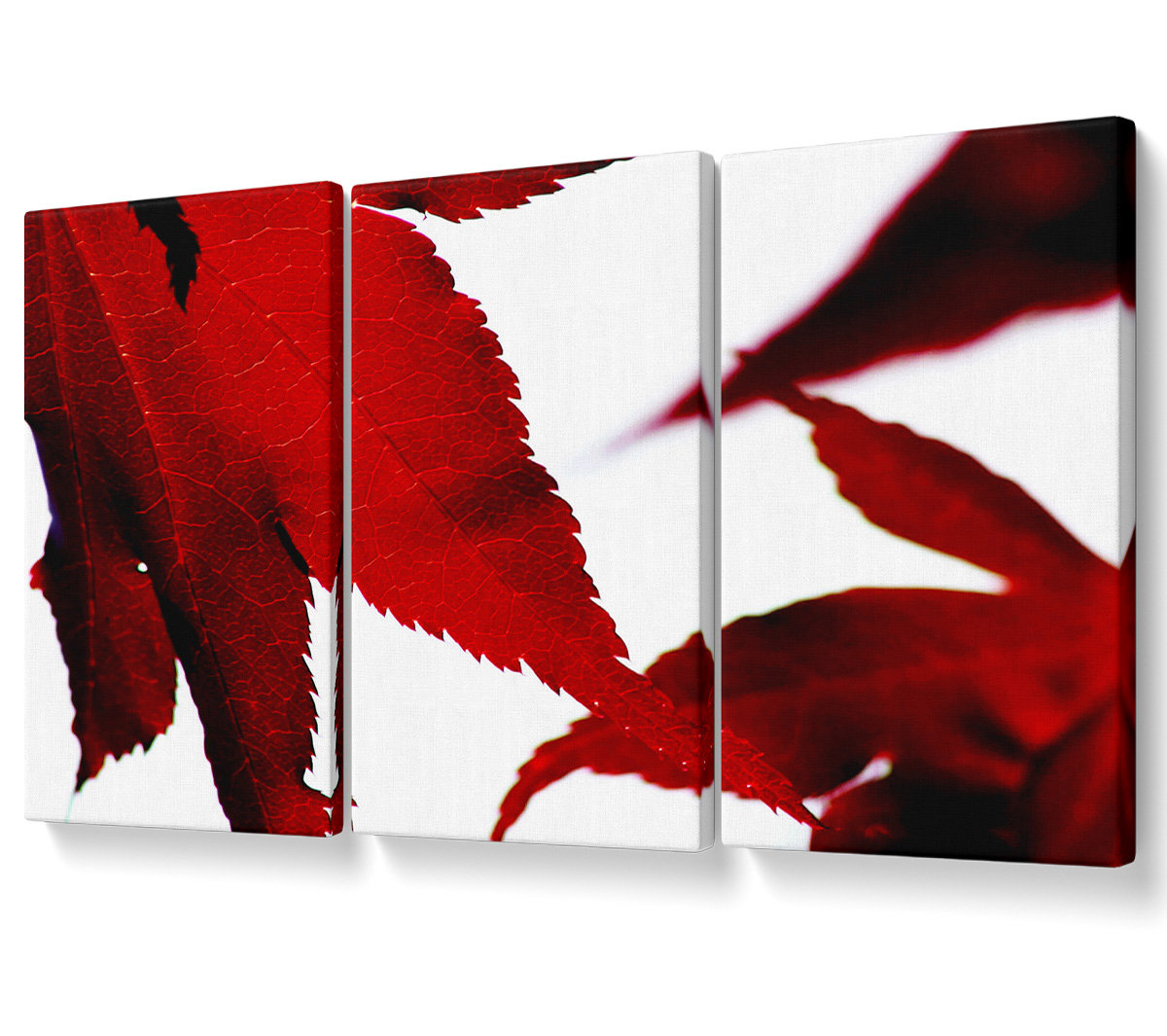 Ebern Designs Leaves - 3 Piece Wrapped Canvas Graphic Art | Wayfair.co.uk