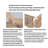 19 Pair Shoe Storage Cabinet-99018774