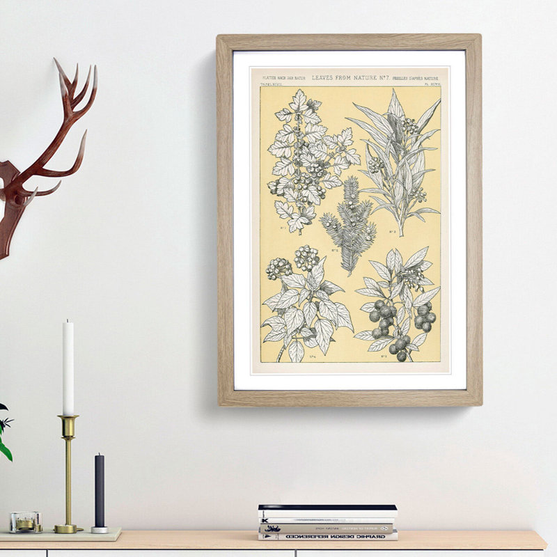 Leaves from Nature No. 7 by Owen Jones - Picture Frame Painting Print, Oak Framed, 48cm H x 36cm W x 2cm D