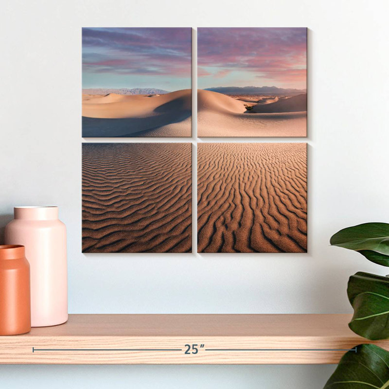 Alvord Mesquite Flat Dunes