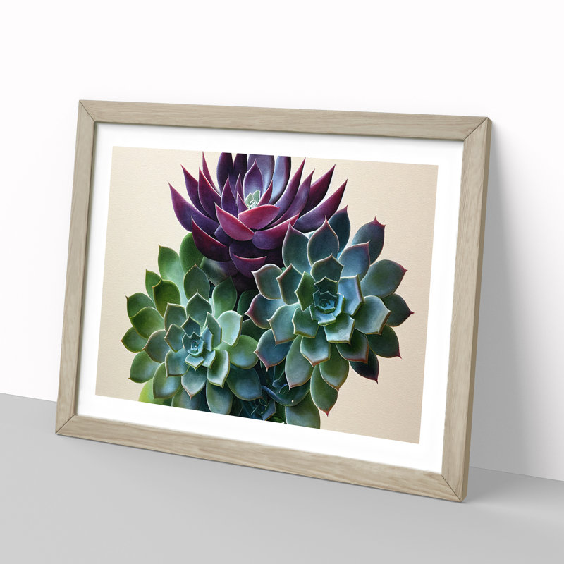 Watercolour Succulent Plant Vol.2 - Framed Print, 46cm H x 64cm W, Grey