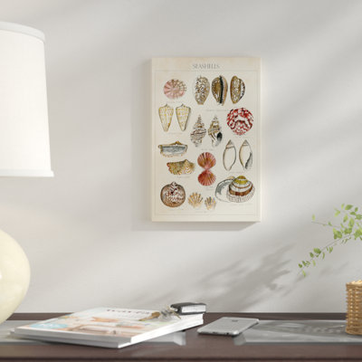 « coquillage sketch i », impression sur toile