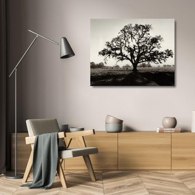 Oak Tree Sunrise
