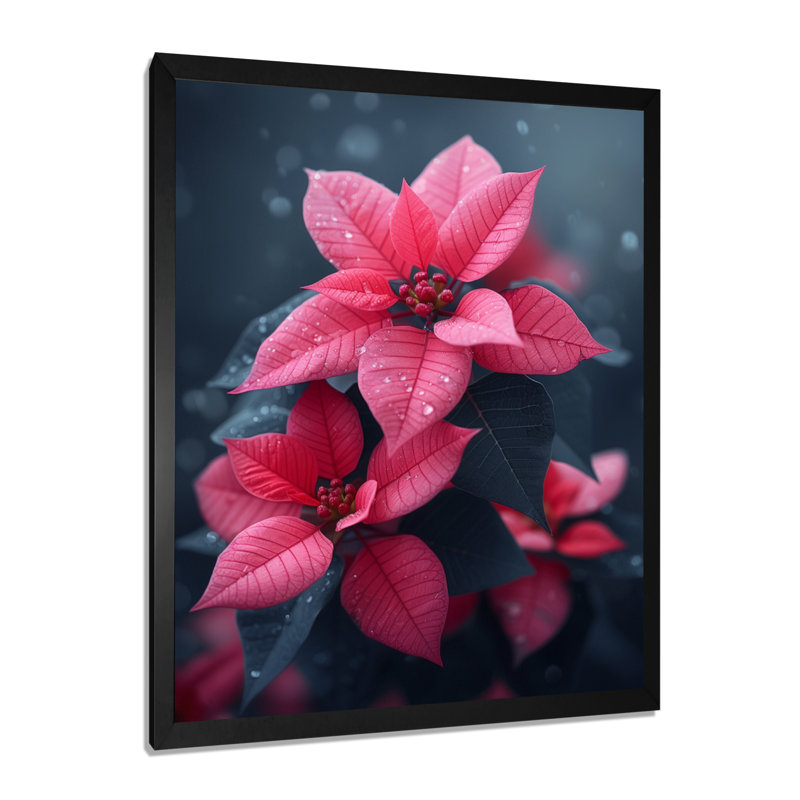 Poinsettias d'hiver monochromes roses et gris - Décoration murale poinsettias, Toile encadrée noire simple
