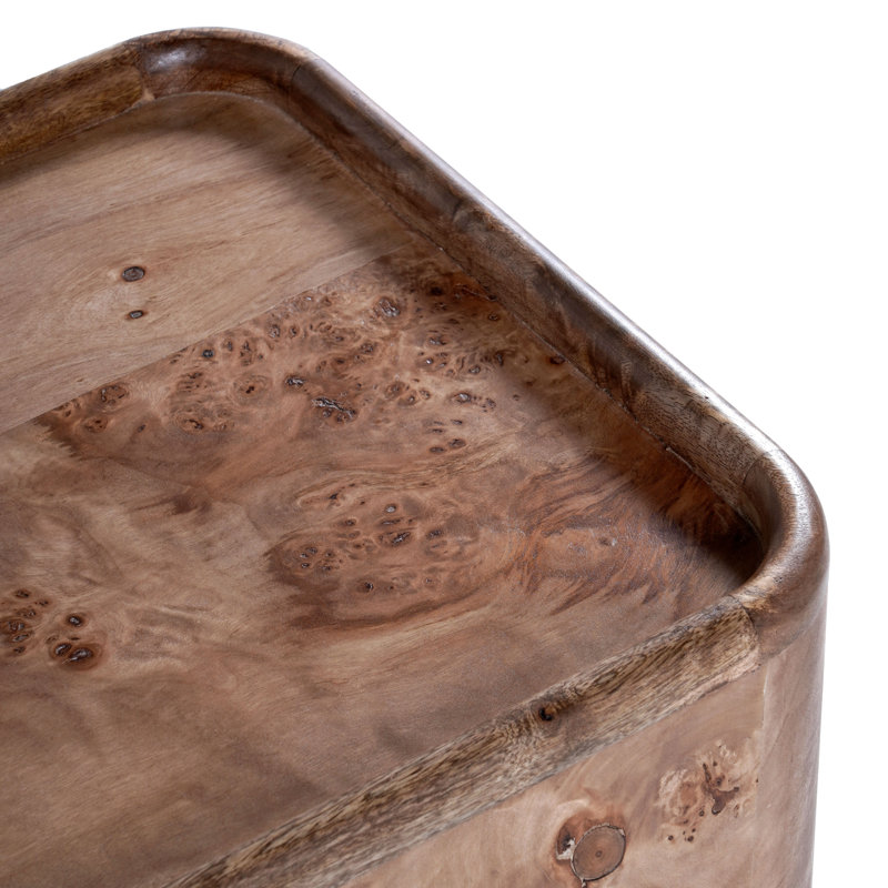 Table d'appoint Torryn Burl
