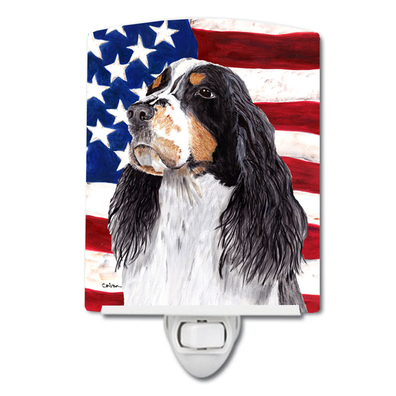 Drapeau américain avec éclairage en céramique terrier fox american, Springer anglais noir