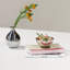 Ring Stainless Steel Nut Bowl