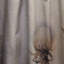 Fleur de chardon beige Jessamy-140581987