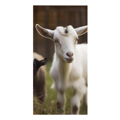 Goat Absorbent Microfiber Beach Towel for Swimming, 50 x 60 in