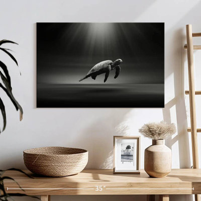 Brampt Lone Sea Turtle