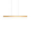 LED Pendant Lamp ARENAS With Remote-1097388455