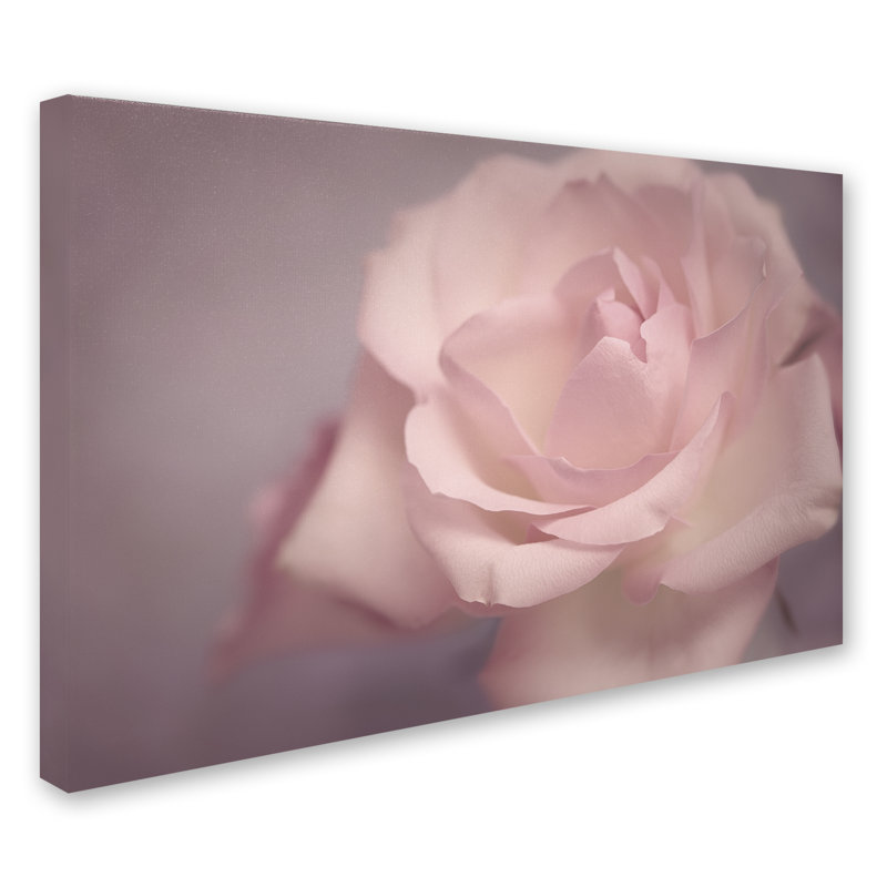 « tendrey », reproduction de photo sur toile tendue, H 30 po x l 47 po x P 2 po