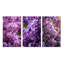 "Fleurs lilas mauves parfumées I", 3 pièces sur toile-200941868-200941867