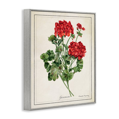 «Vivid Red Geranium Blossoms», art de la giclée encadrée, design par Danielle Murray
