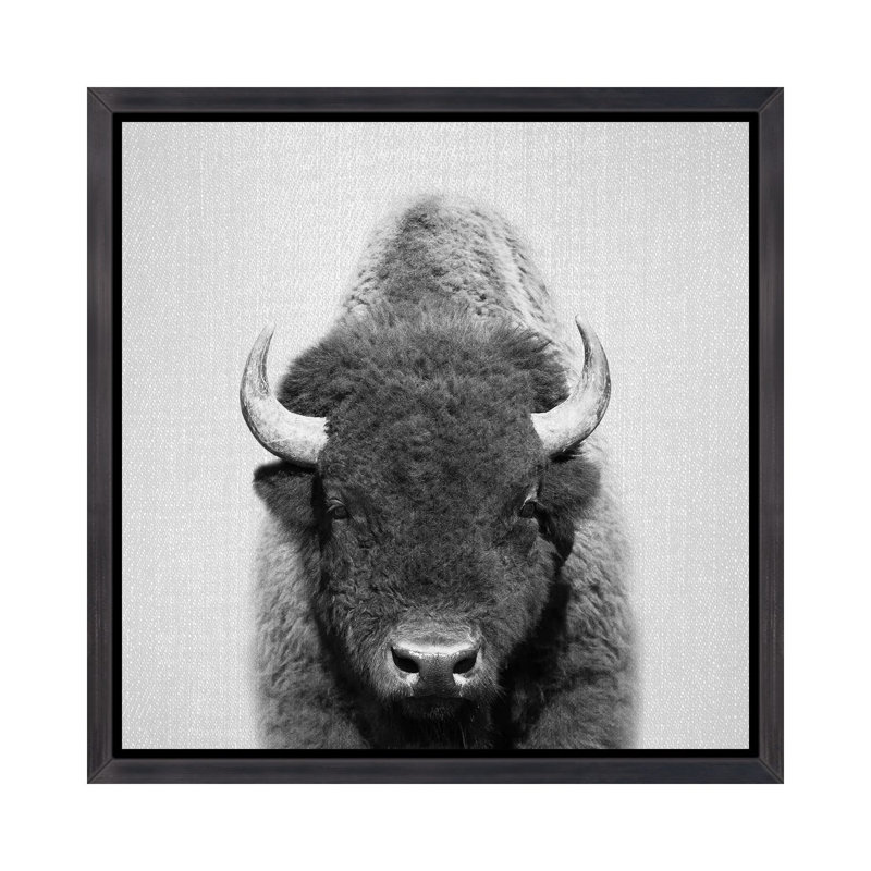 «Buffalo», reproduction d'art, H 37 po x l 37 po x P 1,5 po, Cadre noir vieilli