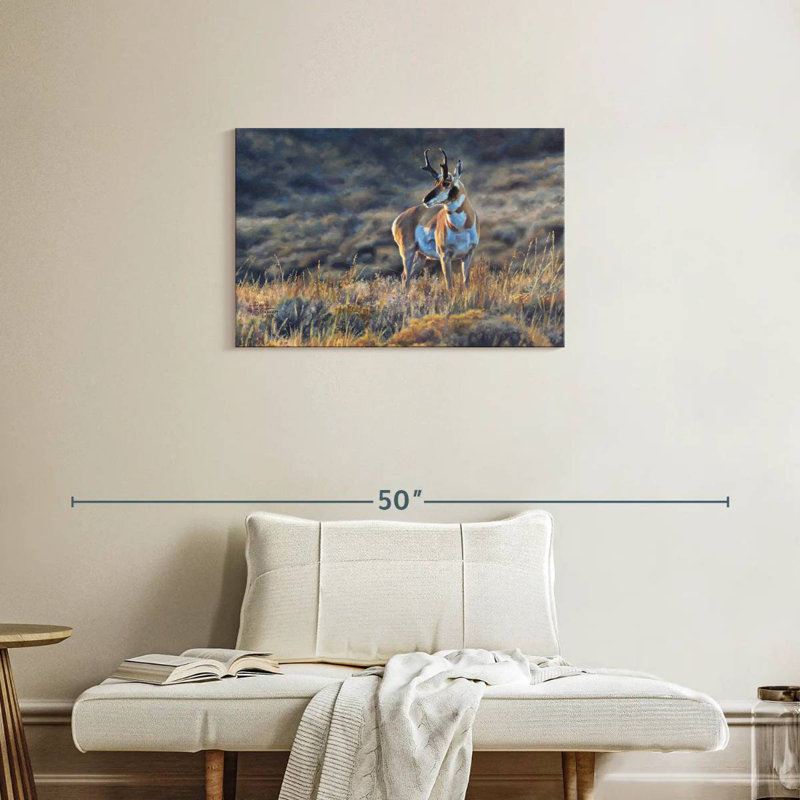 Bramble Pronghorn Pride, H 20 po x l 30 po