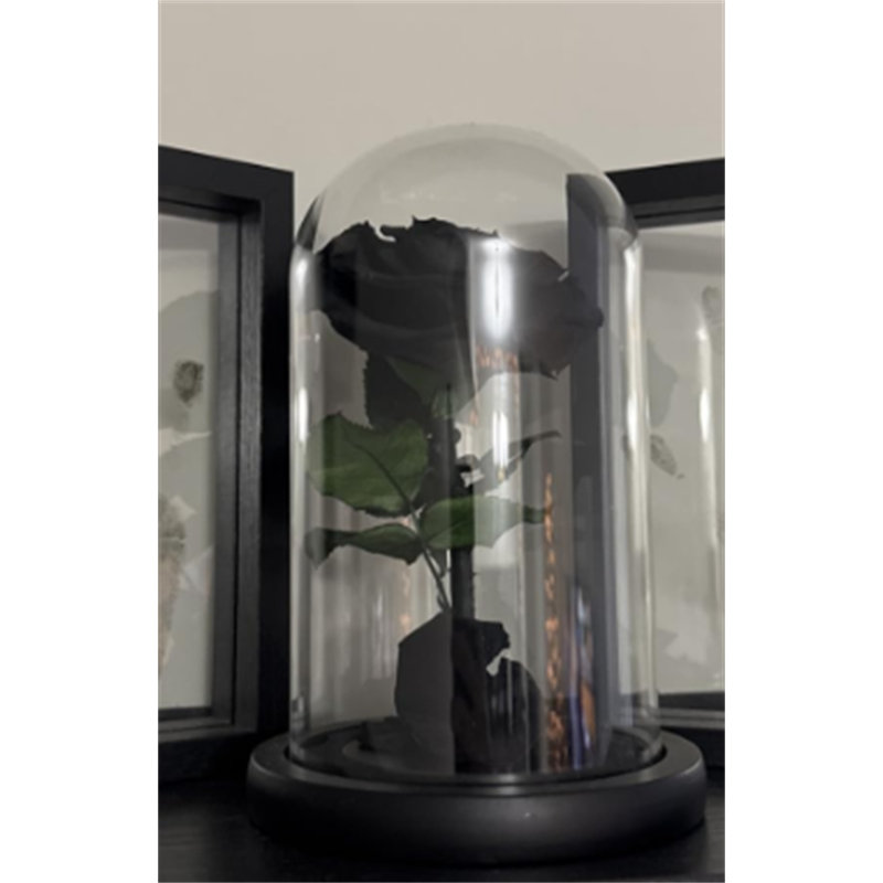 Fleurs préservées à la main dans un dôme de verre, roses noires jamais fanées, cadeaux d'anniversaire pour elle (13 pouces)