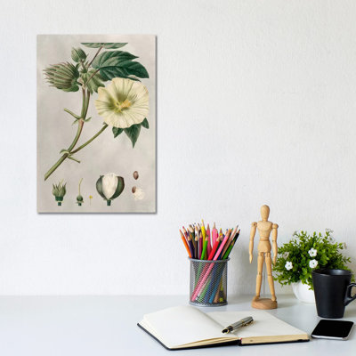 Tropical Varieties II 1 Piece Wrapped Canvas Wall Art